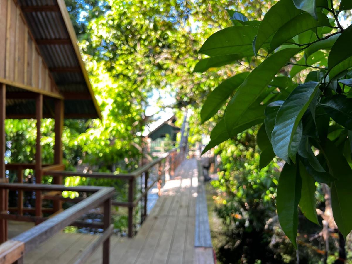 Tucan Amazon Lodge - Amazônia Exxperience Paricatuba Exterior foto
